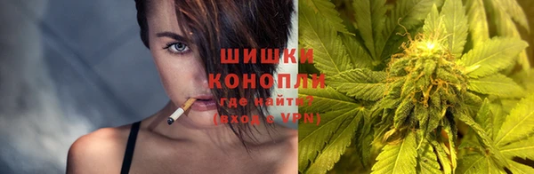 прущая мука Пересвет
