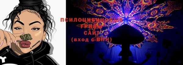 ECSTASY Алексин