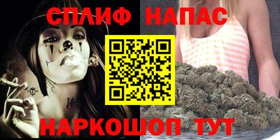 прущие грибы Заволжье