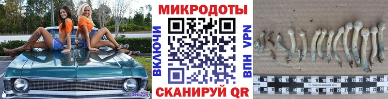 Галлюциногенные грибы GOLDEN TEACHER  Михайловск 
