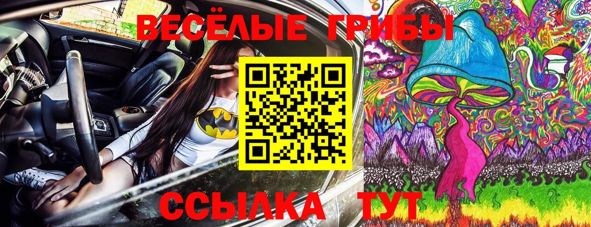 Михайловск  Галлюциногенные грибы Magic Shrooms  Вход с VPN 